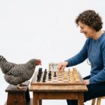 Photo Manipulation Stock Images
