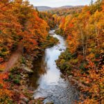 Nature Stock Photos
