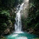 Nature Stock Photos
