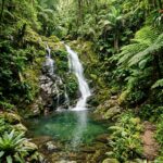Nature Stock Photos